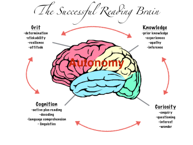 The reading brain